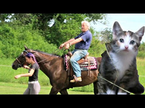 WELCOME TO THE FAMILY! NEW FARM PETS! Day 202 (07/21/20)