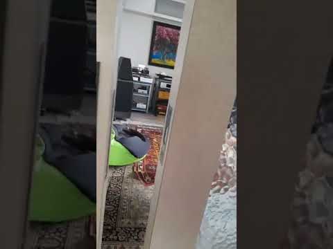 Huli pero di kulong🤣