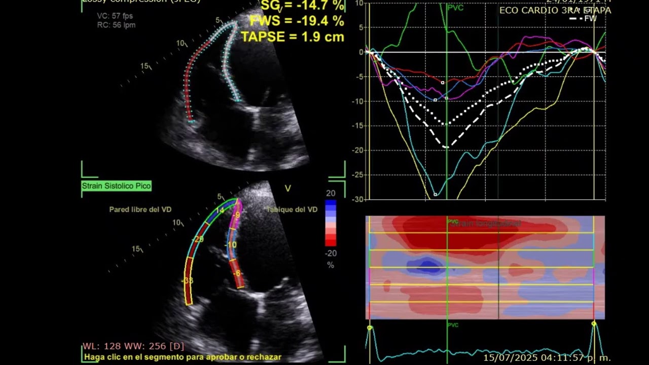 Luis  Ruvalcaba Figueroa -5