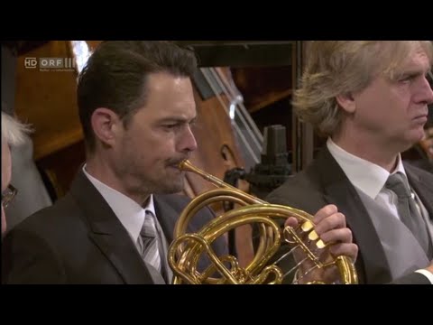 Brahms: Klavierkonzert Nr. 2, 1. Satz - 3. Horn Solo (Thomas Jöbstl)