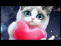 Bas Teri Dhoom Dham Hai Whatsapp Status Video