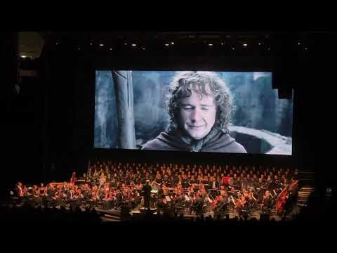 LOTR: The Fellowship of the Ring In Concert, by Lviv National Philharmonic Orchestra of Ukraine