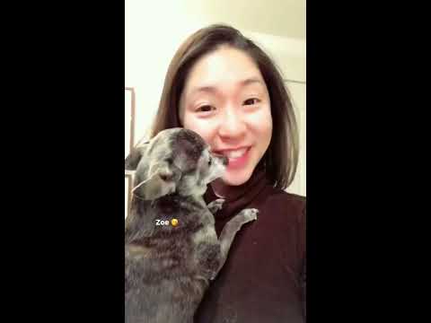 Paleo Beef with Broccoli (Keto, Whole30, Low Carb Easy!)