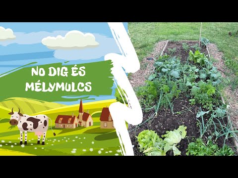 No dig, mélymulcs kísérlet tapasztalatok