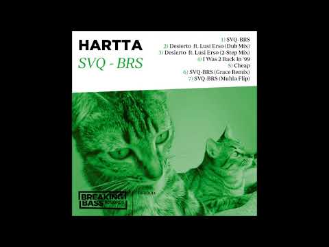 Hartta - Desierto ft  Lusi Erso (2-step mix)