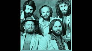 The Beach boys Live 1981　Back in the USSR