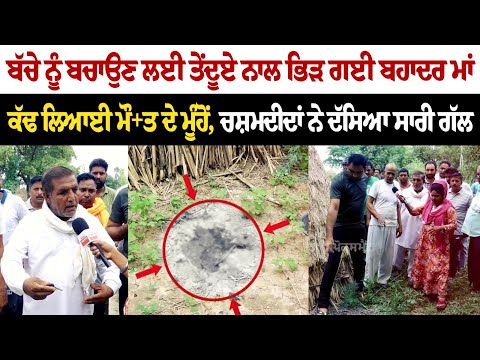 ਬੱਚੇ ਨੂੰ ਬਚਾਉਣ ਲਈ ਤੇਂਦੂਏ ਨਾਲ ਭਿੜ ਗਈ ਬਹਾਦਰ ਮਾਂ, ਕੱਢ ਲਿਆਈ ਮੌ+ਤ ਦੇ ਮੂੰਹੋਂ, ਚਸ਼ਮਦੀਦਾਂ ਨੇ ਦੱਸਿਆ ਸਾਰੀ ਗੱਲ !