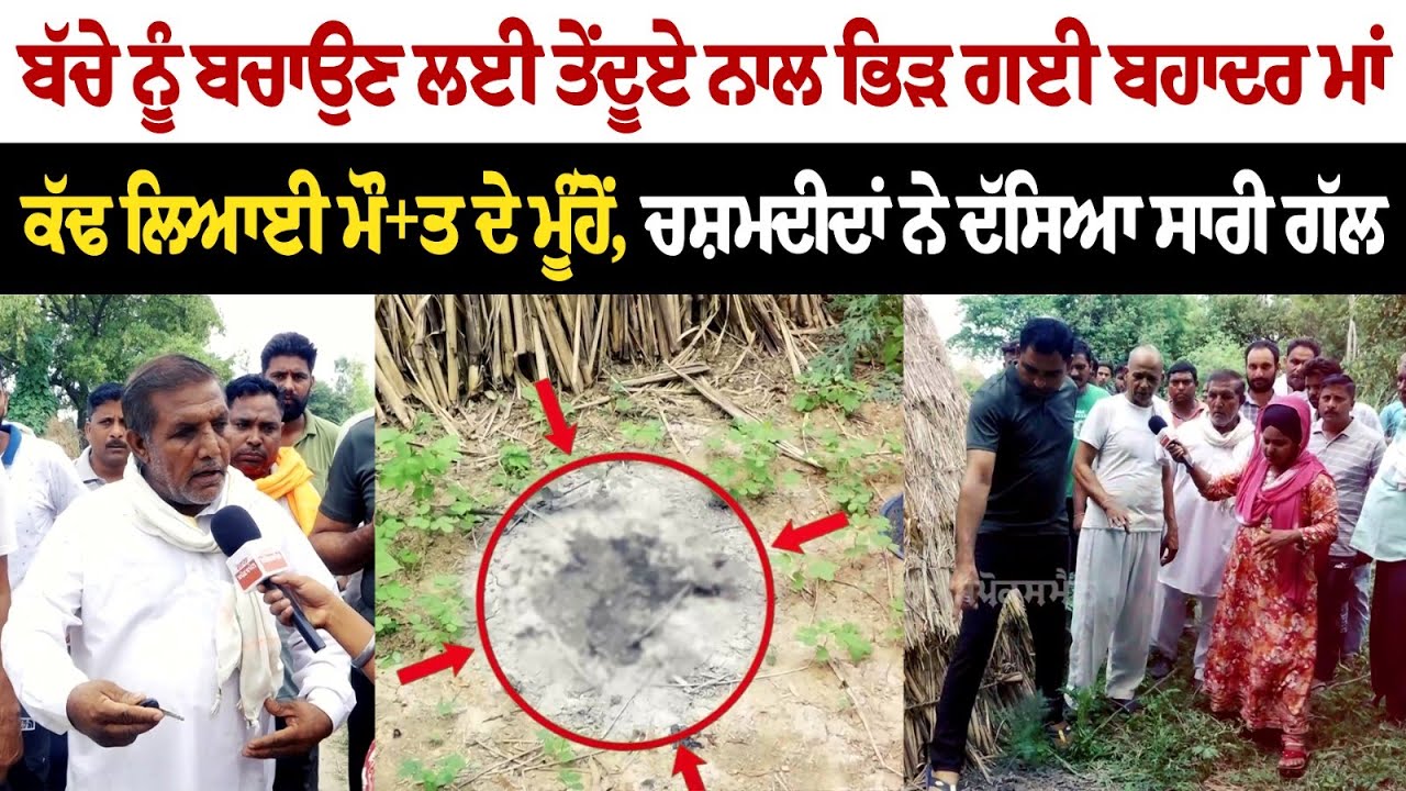 ਬੱਚੇ ਨੂੰ ਬਚਾਉਣ ਲਈ ਤੇਂਦੂਏ ਨਾਲ ਭਿੜ ਗਈ ਬਹਾਦਰ ਮਾਂ, ਕੱਢ ਲਿਆਈ ਮੌ+ਤ ਦੇ ਮੂੰਹੋਂ, ਚਸ਼ਮਦੀਦਾਂ ਨੇ ਦੱਸਿਆ ਸਾਰੀ ਗੱਲ ! ਬੱਚੇ ਨੂੰ ਬਚਾਉਣ ਲਈ ਤੇਂਦੂਏ ਨਾਲ ਭਿੜ ਗਈ ਬਹਾਦਰ ਮਾਂ, ਕੱਢ ਲਿਆਈ ਮੌ+ਤ ਦੇ ਮੂੰਹੋਂ, ਚਸ਼ਮਦੀਦਾਂ ਨੇ ਦੱਸਿਆ ਸਾਰੀ ਗੱਲ !