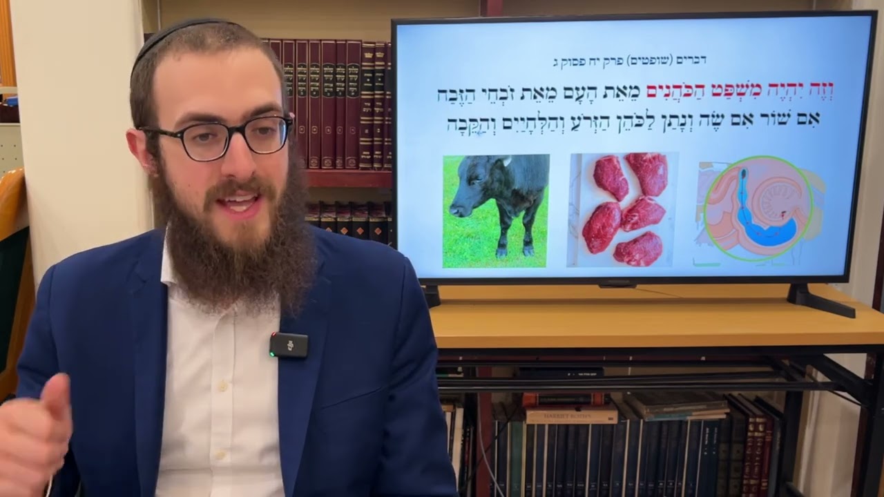 Rambam Hilchos Bikkurim Chapter 9 • Rabbi Yossi Lipskier