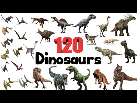 120 Dinosaur names in english with pictures | Learn Dinosaur Names | Dinosaurs Vocabulary