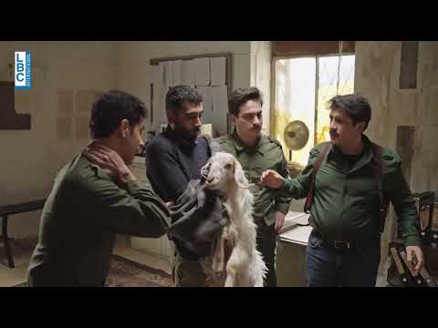 "ليف لوف معزاية