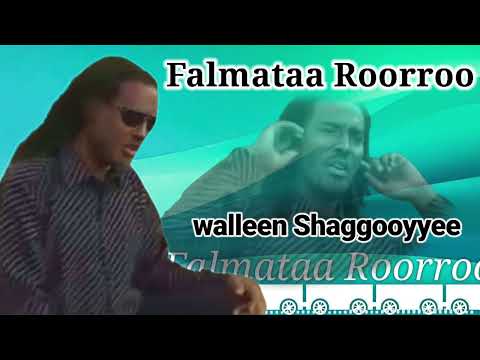 Falmataa Roorroo sirboota bara durii keessa bahan  2024