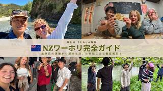 【知らないと損！】ニュージーランド・ワーホリ完全ガイド｜出発前〜仕事・家探し・現地生活まで僕の経験談をもとに徹底解説！