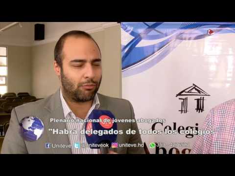 Plenario Nacional de Jóvenes abogados