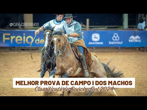 Leopardo da Gap São Pedro • Melhor Prova de Campo I dos Machos na Classificatória Gaúcha Sul 2024