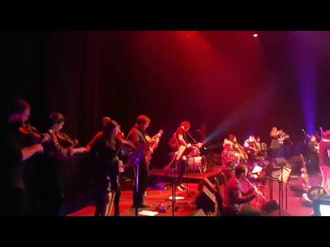 Gordon Duncan Experience perform