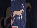 Horse Making Idea With Cardboard Shorts Artwork