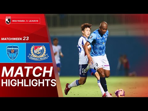 bg-highlight