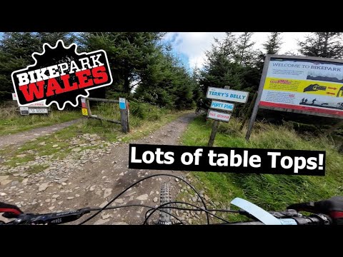 Terry's Belly and Popty Ping - MTB at Bike Park Wales, UK