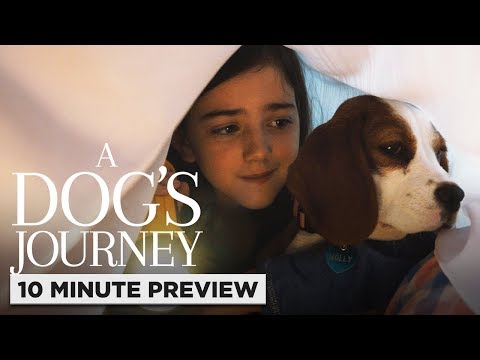 A Dog's Journey | 10 Minute Preview | Film Clip | Own it now on Digital, Blu-ray, & DVD