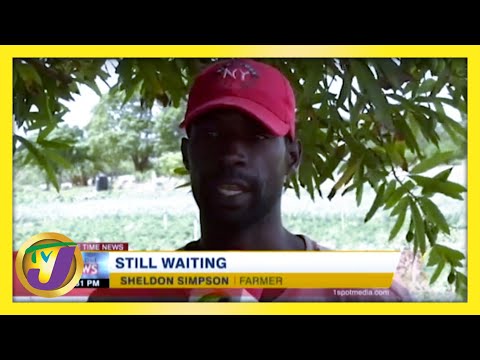 Jamaican Farmers Slam Gov't over Covid Relief February 23 2021