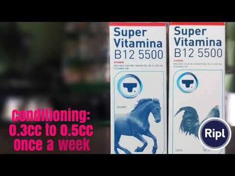 Supervitamina B12 Conditioning Guide