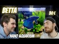 Notre premier Aquascaping pour combattant (Betta Splendens)