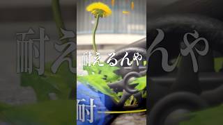 これ俺、タンポポ / 遊んだゲーム記録