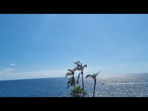 Tenerife Tonight - This Is The Place To Be......