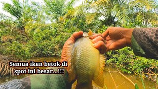 Download lagu Crazy, found the most special spot for fishing for monster catfish mp3