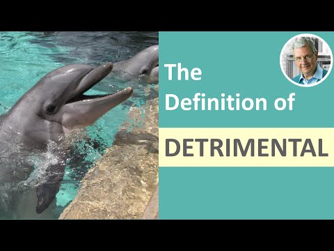 What is the Definition of DETRIMENTAL? (Illustrated Example)