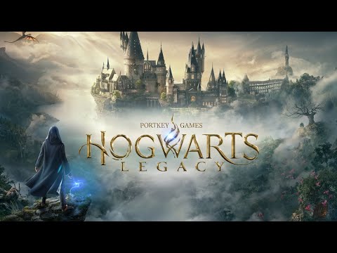 TRAINEN IN EEN GEHEIME KAMER?! Hogwarts Legancy #12