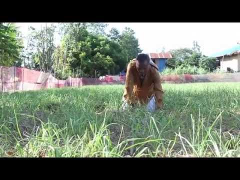 100% recipes pagbaba ng timbang Mangayayat mabilis 1 kg bawat araw