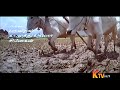 Ayya Movie Whatsapp Status