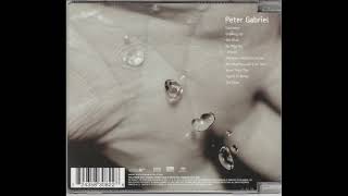 Peter Gabriel - No Way Out 04
