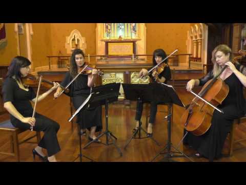 Air (Bach) by Amicus Strings