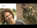 Verhalen van de Vecht - ma 4 mei 2020, 12.25 uur | RTV Utrecht