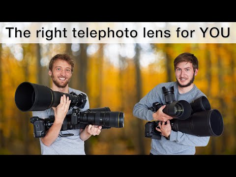 Nikon Z telephoto lenses overview - experiences and recommendations for wildlife photography