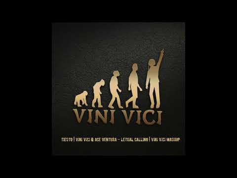 TIESTO - Vini Vici & Ace Ventura - Lethal Calling (Vini Vici mashup) HQ
