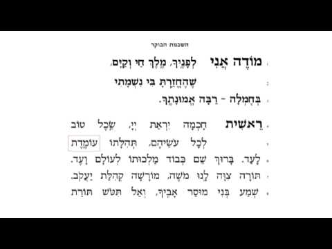 03 Reisheet Chochmah