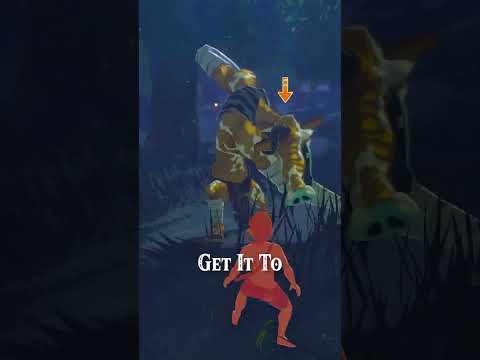 What's The MOST DAMAGE Link can take in Breath of The Wild?