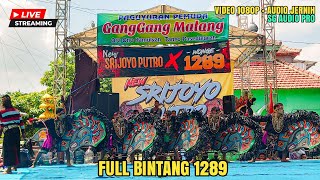 Download lagu Live New Srijoyo Putro FULL Bintang 1289 Ganggang Malang Sukomoro Nganjuk Ft SG Audio (2) mp3