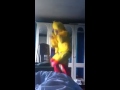 Big Bird Todays Letter Is DANCE