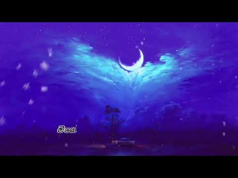 මගේ ජීවිතේ අලුත් පිටුවක් පුරා noyel Raj mage jivithe aluth pituwak pura sinhala song