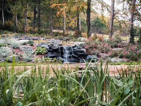 Amin Aquatics and Landscapes video.