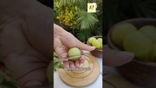 Download lagu Amla for hair growth | amla juice for hair fall control| amla benefits for hair mp3
