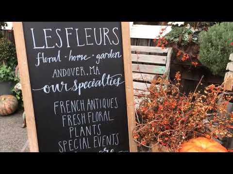 Downtown Andover Shopping Thanksgiving 2019 - Andover MA Lifestyle & Real Estate