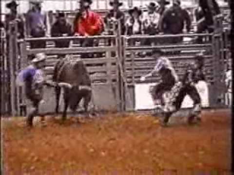 Lot #3536 - 10yr Old Son of #55 Gunslinger - Video 1 of 2