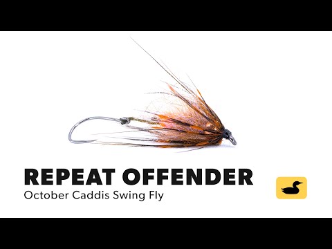 Fly Tying Tutorial: Repeat Offender October Caddis Swing Fly