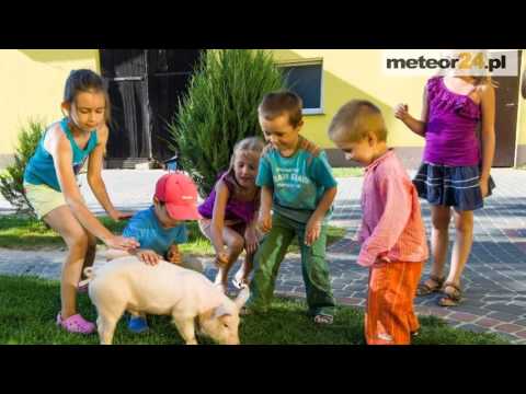 Agropensjonat Pod Brzozami - Grochowy meteor24.pl